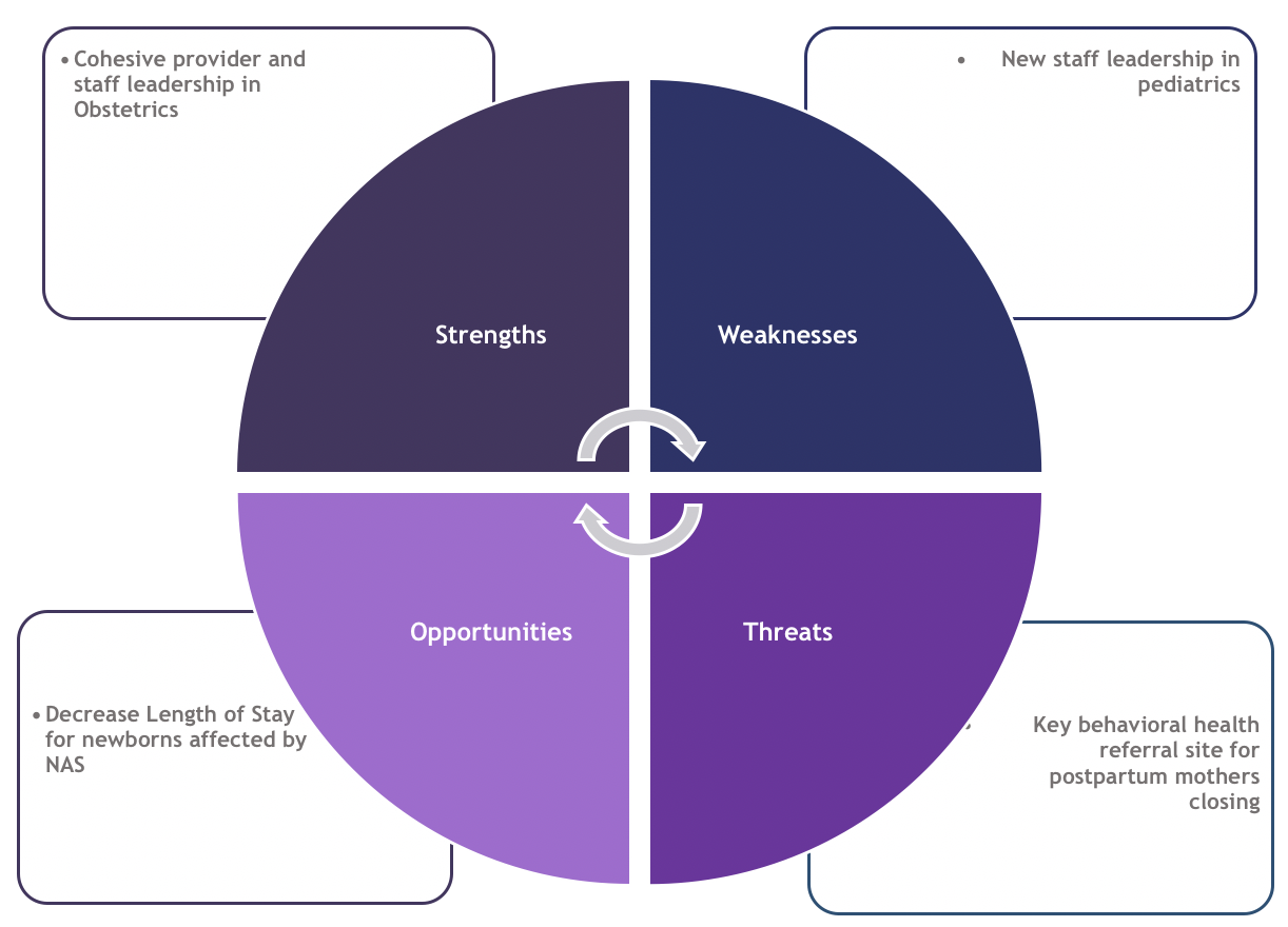 Example SWOT Analysis when considering toolkit implementation